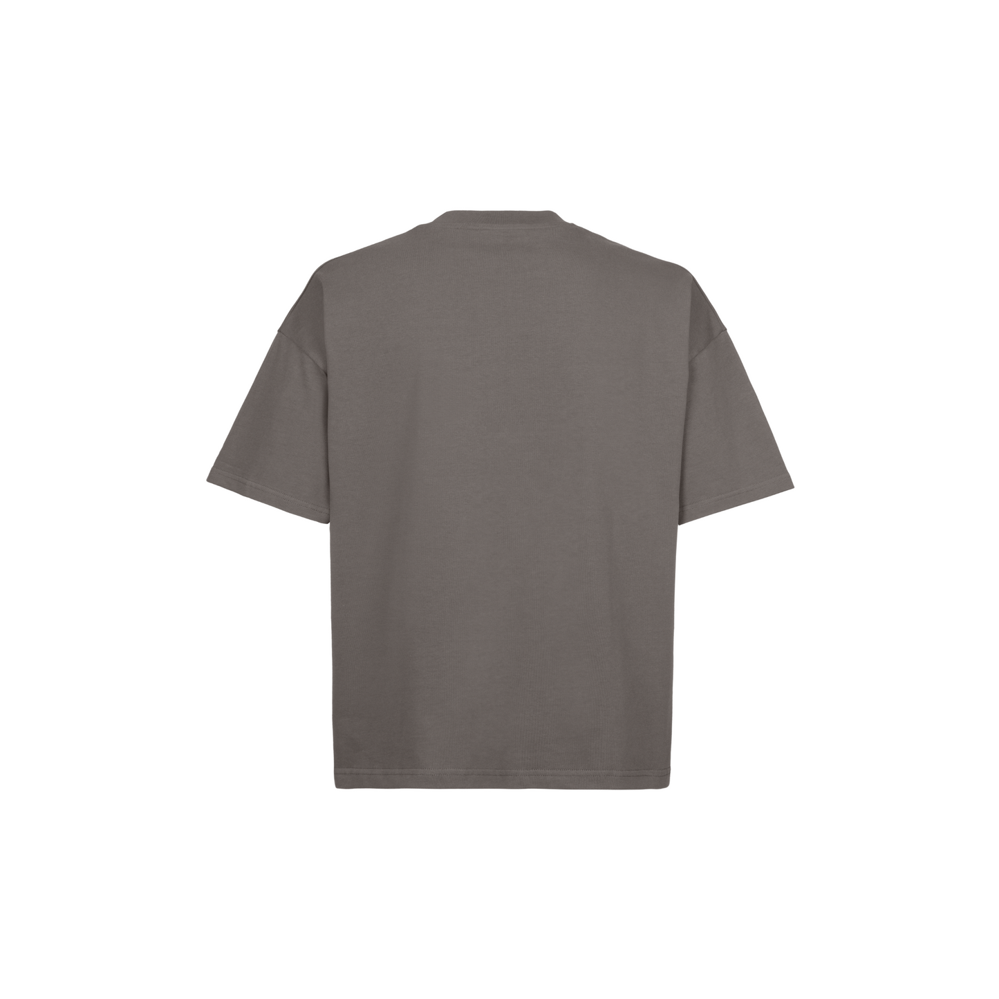 Time Travel T-Shirt Pigment Grey